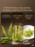 2026 Spring Long Jing (Dragonwell) Premium Chinese Green Tea - Loose Leaf, Unflavored, 100g, Loose Leaf Tea